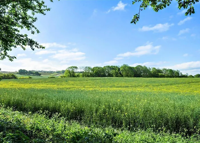 Fy175-asperup-sommerlandsvej-4 Holiday home Asperup